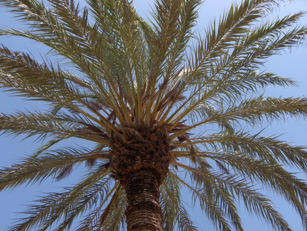 Le Jardin Des Epices Hotel Taroudant Bagian luar foto