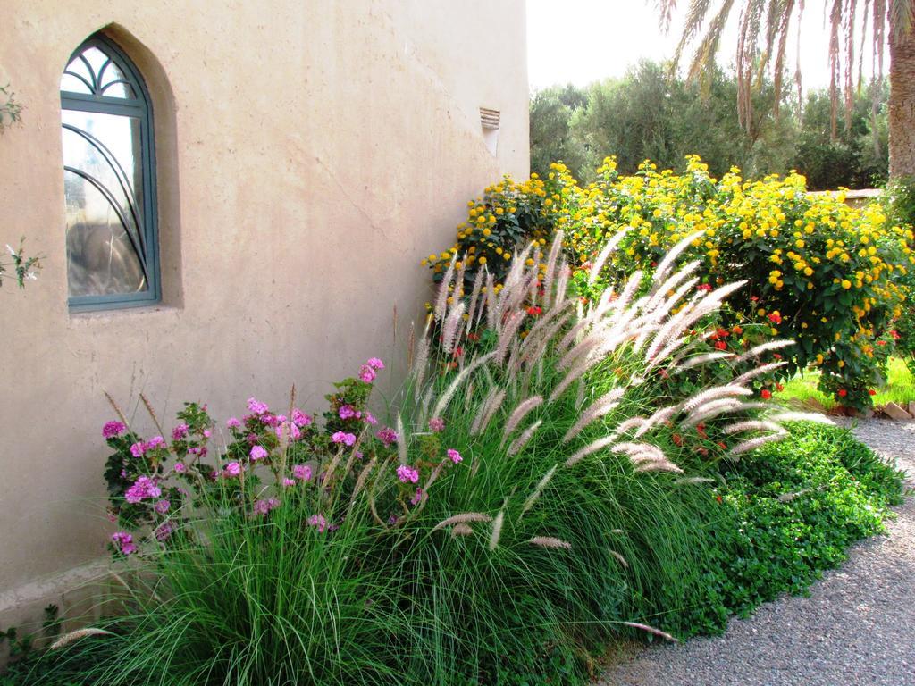 Le Jardin Des Epices Hotel Taroudant Bagian luar foto
