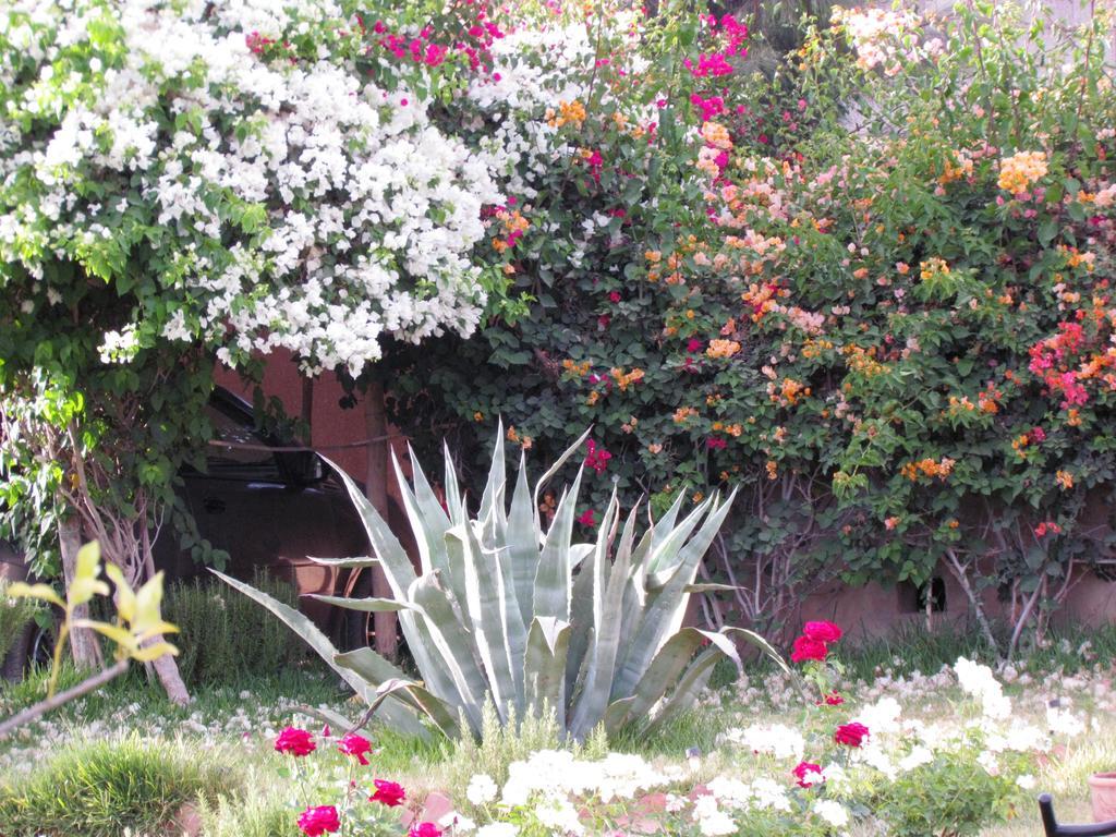 Le Jardin Des Epices Hotel Taroudant Bagian luar foto