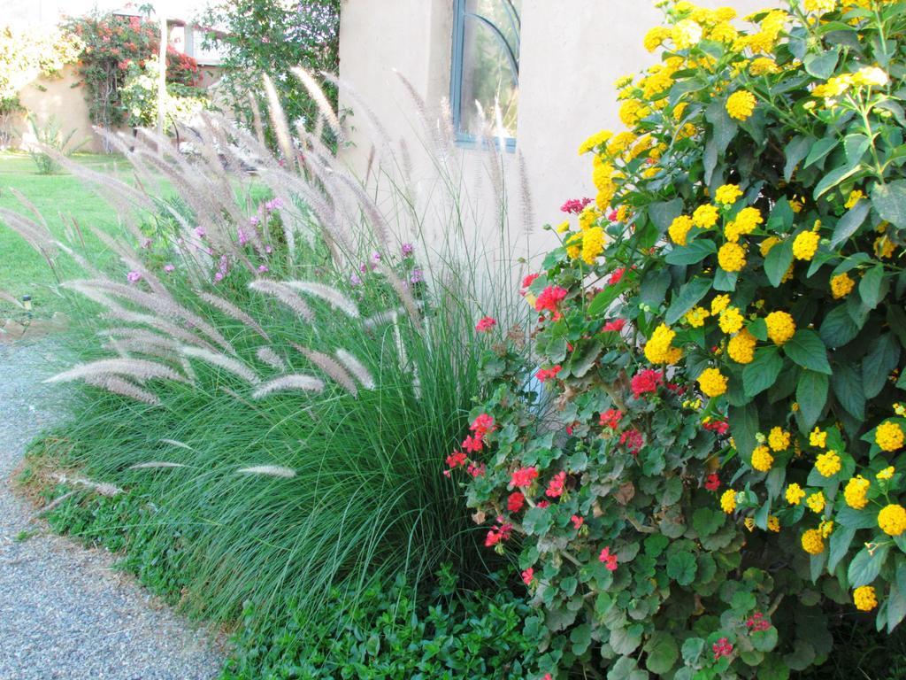 Le Jardin Des Epices Hotel Taroudant Bagian luar foto
